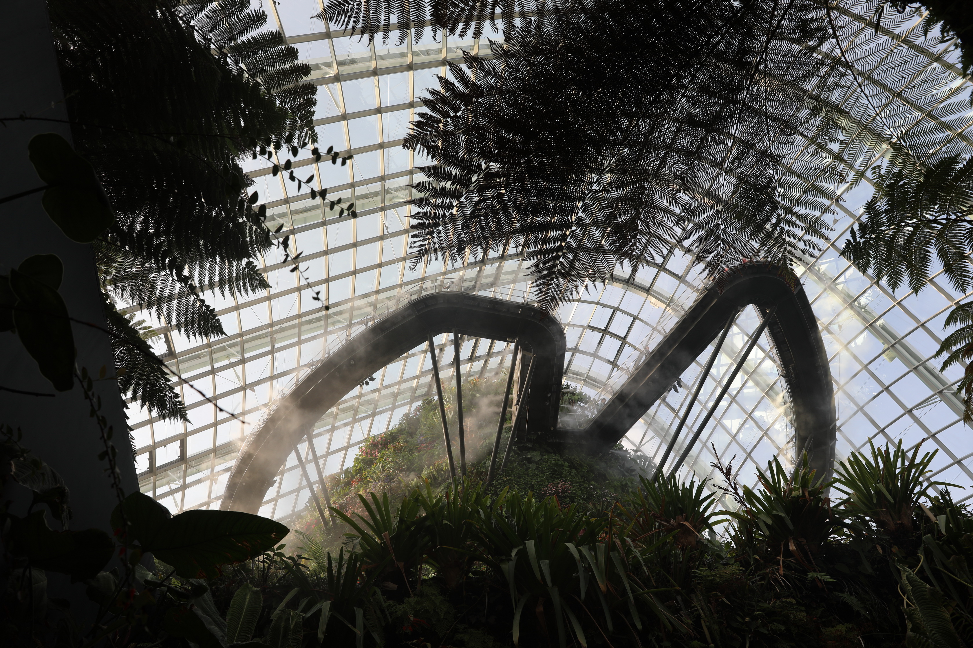 2020 02 03 18 06 09 Canon EOS 5D Mark IV 0049